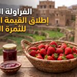 صورة غلاف دراسة سلسلة القيمة للفراولة في اليمن